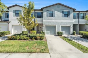 4022 Wild Senna Blvd, TAMPA