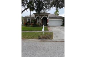 1509 Wildfowl Pl #c, LUTZ