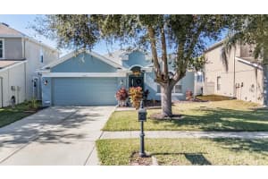 9954 Jasmine Brook Cir, LAND O LAKES