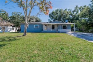 806 Papaya Dr, TAMPA