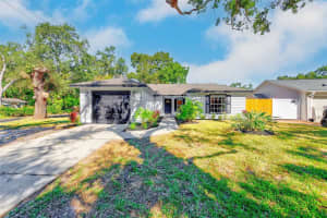 4607 W Loughman St, TAMPA 4607 W Loughman St, TAMPA