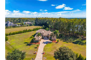 17336 Ballmont Park Dr, ODESSA 17336 Ballmont Park Dr, ODESSA