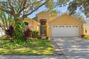 18959 Wood Sage Dr, TAMPA 18959 Wood Sage Dr, TAMPA