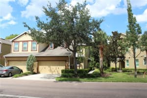 131 Villa Preserve Ave, LUTZ