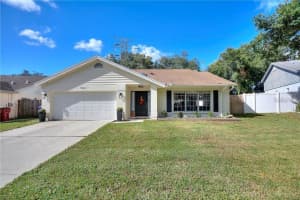 3662 Chatham Dr, PALM HARBOR
