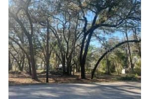 16222 Livingston Ave, LUTZ