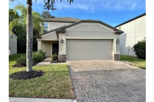 9908 Spice Bush Ct, TAMPA 9908 Spice Bush Ct, TAMPA