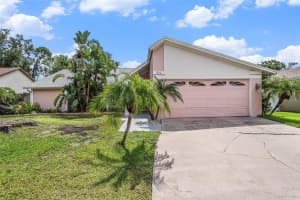 3335 Foxridge Cir, TAMPA