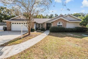 3507 Country Creek Ln, VALRICO