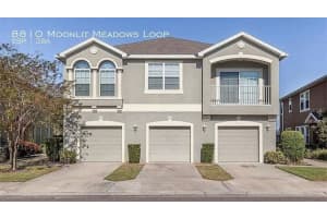 8810 Moonlit Meadows Loop, RIVERVIEW