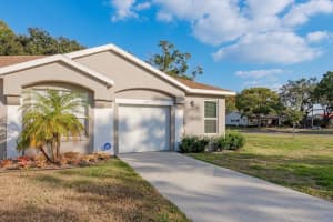 3141 Brooker Creek Way, PALM HARBOR