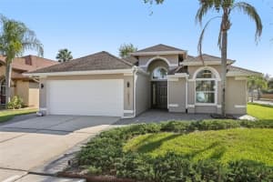10211 Oasis Palm Dr, TAMPA