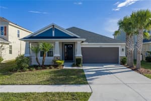 34014 Astoria Cir, WESLEY CHAPEL