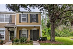 1247 Kennewick Ct, WESLEY CHAPEL