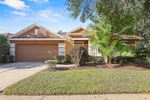 6130 Whimbrelwood Dr, LITHIA