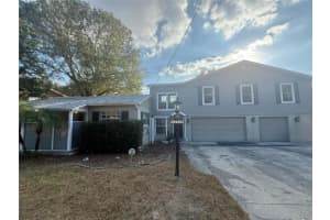 12510 Forest Hills Dr, TAMPA