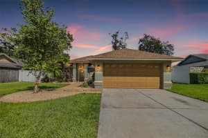 23526 Pine Lake St, LAND O LAKES