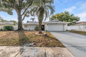 3366 Fox Hill Dr, CLEARWATER 3366 Fox Hill Dr, CLEARWATER