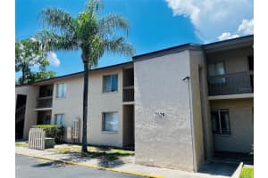 7529 Pitch Pine Cir #d, TAMPA 7529 Pitch Pine Cir #d, TAMPA
