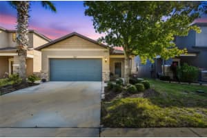 6014 Sweet Birch Dr, RIVERVIEW