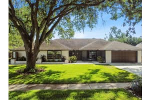 10911 Victoria Arbor Way, TEMPLE TERRACE 10911 Victoria Arbor Way, TEMPLE TERRACE