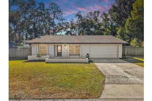 1909 Dove Field Pl, BRANDON