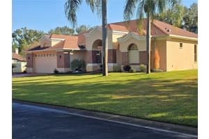 1030 Rowland Pickert Ln, LUTZ