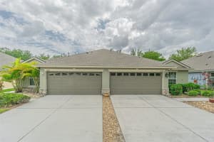 31912 Turkeyhill Dr, WESLEY CHAPEL