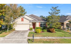 5608 Angelonia Ter, LAND O LAKES