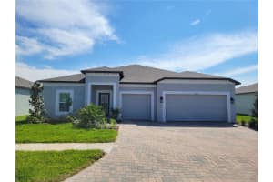 17618 Cortes Creek Blvd, SPRING HILL