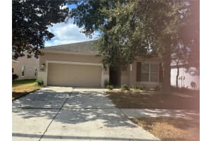 7739 Seafield Ln, WESLEY CHAPEL 7739 Seafield Ln, WESLEY CHAPEL
