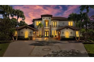 17301 Ladera Estates Blvd, LUTZ 17301 Ladera Estates Blvd, LUTZ