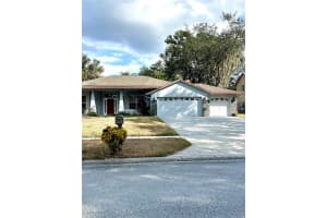 12221 Anne Kenia Dr, THONOTOSASSA 12221 Anne Kenia Dr, THONOTOSASSA