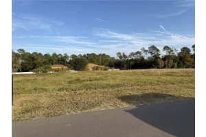 14950 Mim Pl, DADE CITY