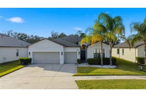 6611 Paden Wheel St, ZEPHYRHILLS 6611 Paden Wheel St, ZEPHYRHILLS