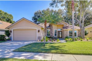 3408 Fox Squirrel Ln, VALRICO