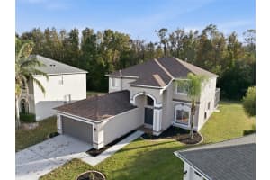 25131 Geddy Dr, LAND O LAKES