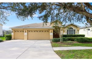 6309 Bridgevista Dr, LITHIA 6309 Bridgevista Dr, LITHIA