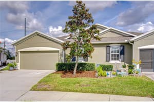 10497 Heron Hideaway Loop, LAND O LAKES