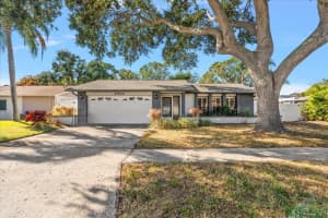 9428 Laura Anne Dr, SEMINOLE