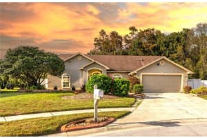 26203 Corkwood Ct, LAND O LAKES