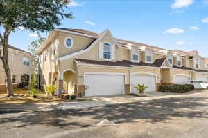 18002 New Wales Pl, TAMPA