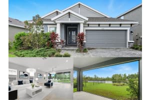 17714 Everlong Dr, LAND O LAKES