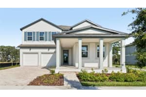 17401 Honeybell Tangelo Court, WINTER GARDEN