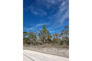 15176 Gonzo Rd, WEEKI WACHEE 15176 Gonzo Rd, WEEKI WACHEE