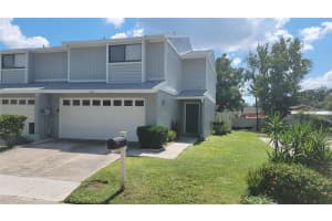 4012 Circlewood Ct, TAMPA