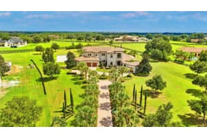 10603 Low Oak Ter, THONOTOSASSA 10603 Low Oak Ter, THONOTOSASSA