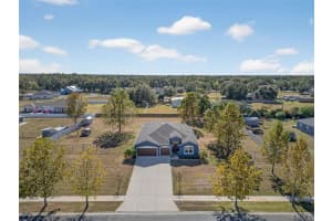 4645 Executive Meadows Dr, PLANT CITY