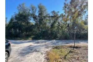 Hagar Drive, NEW PORT RICHEY