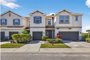 8128 Muddy Pines Pl, TAMPA